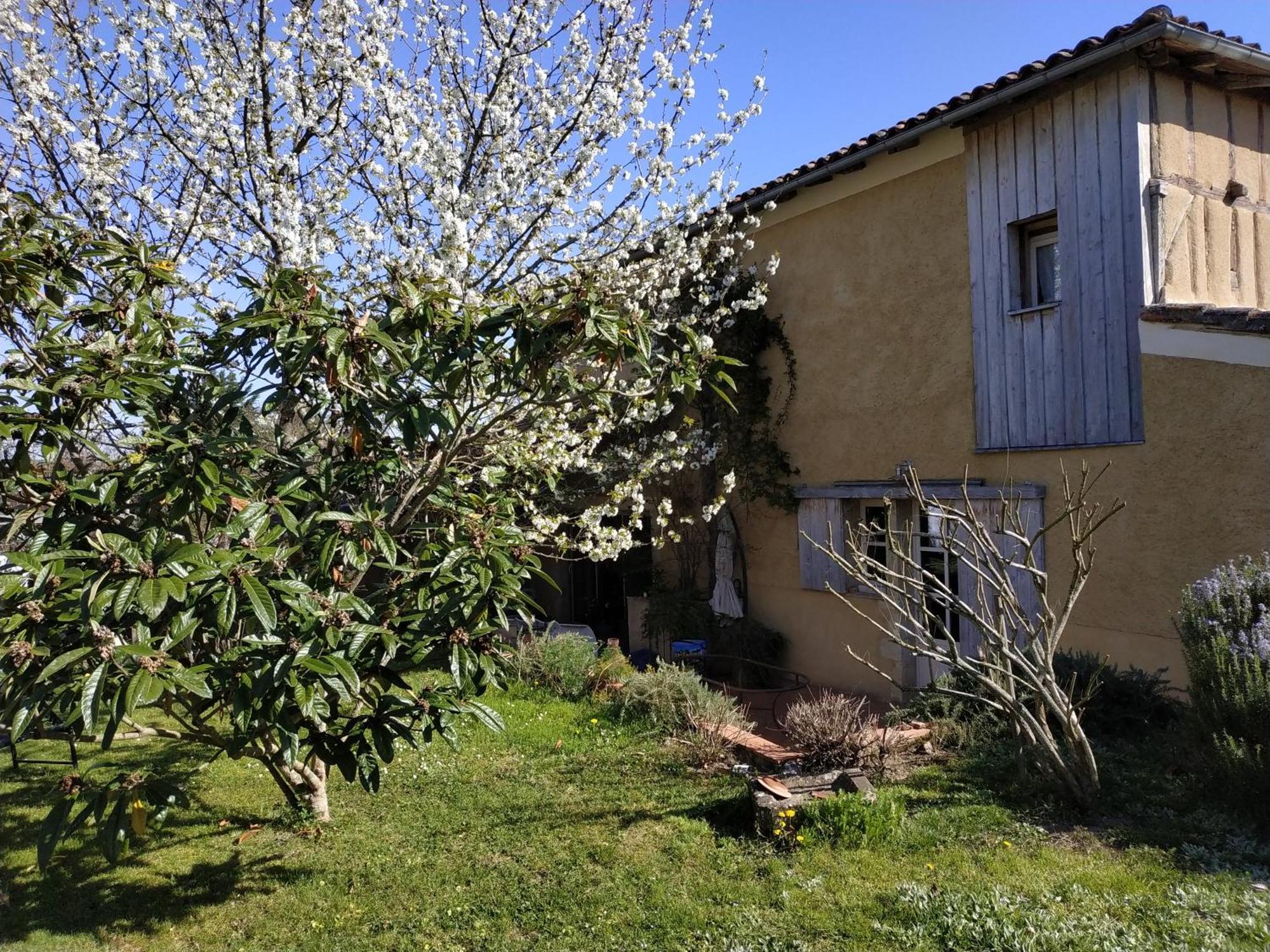 "Au Campaner" Chambres Dans Maison Gasconne Barran Exteriör bild